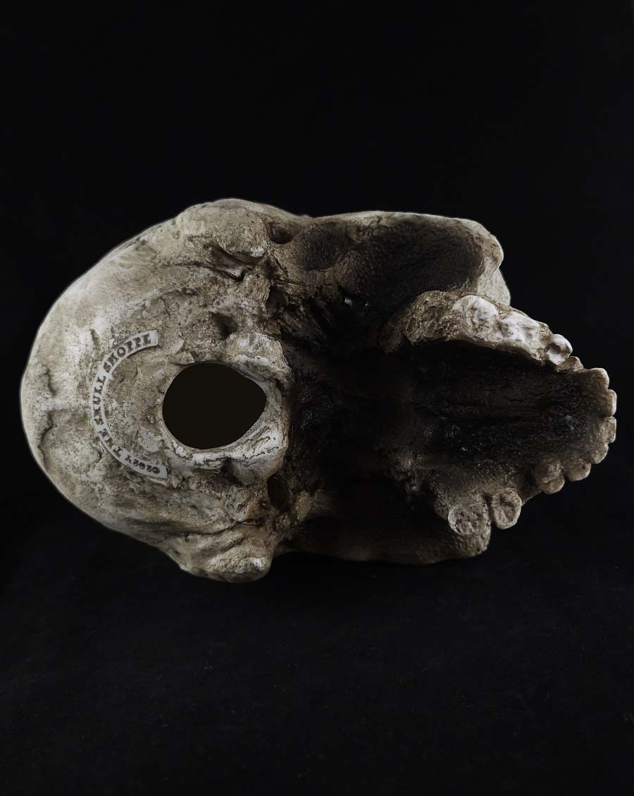 The Skull Prop