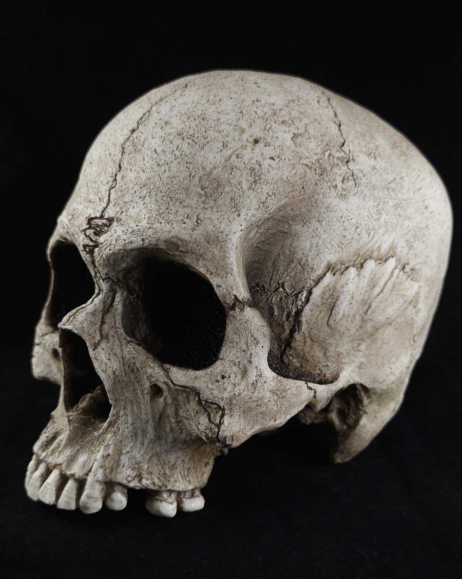 The Skull Prop