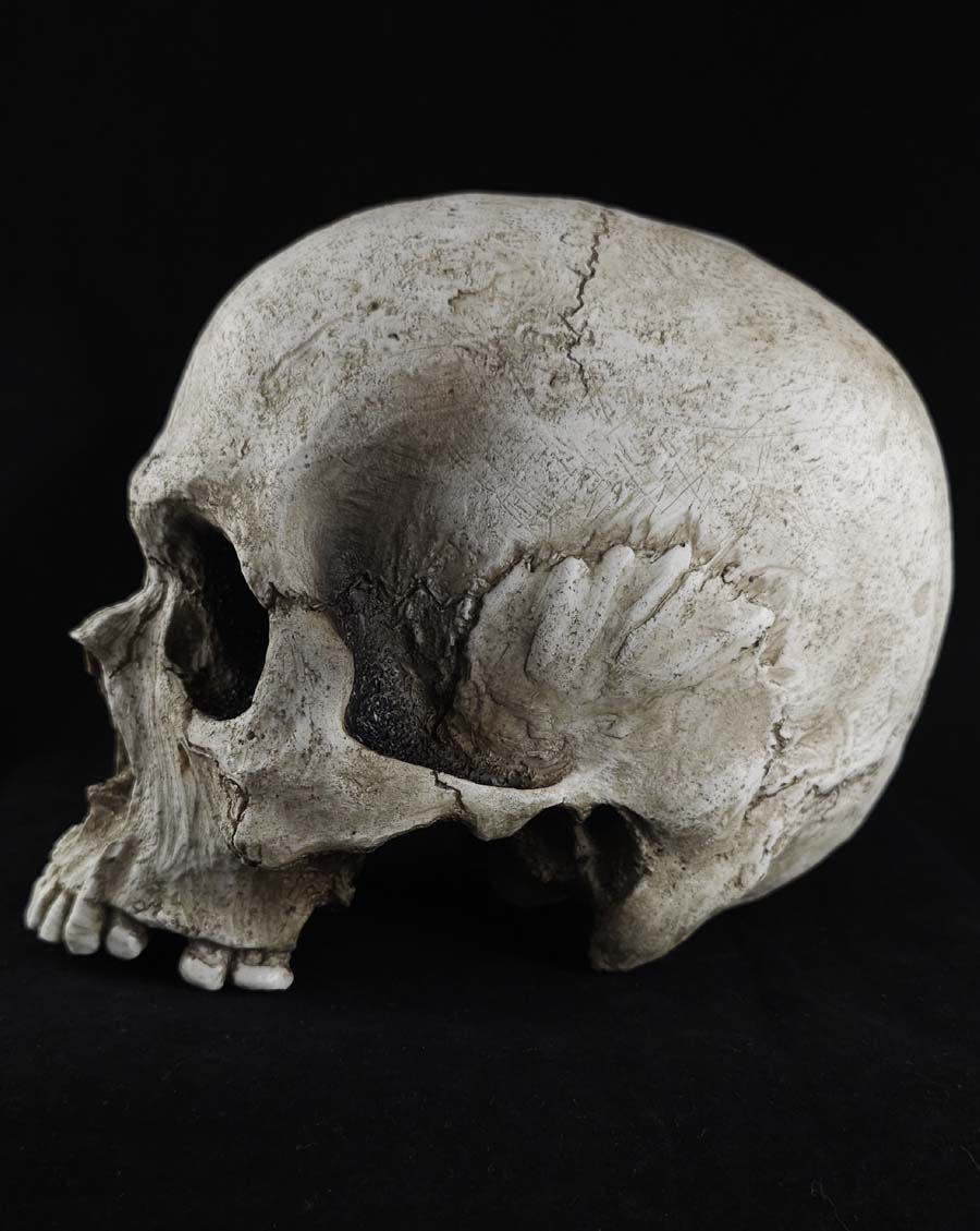 The Skull Prop