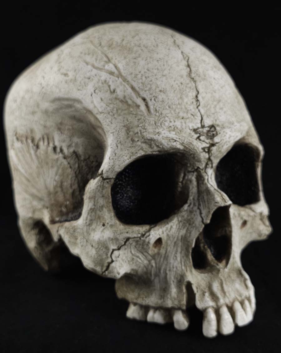 The Skull Prop