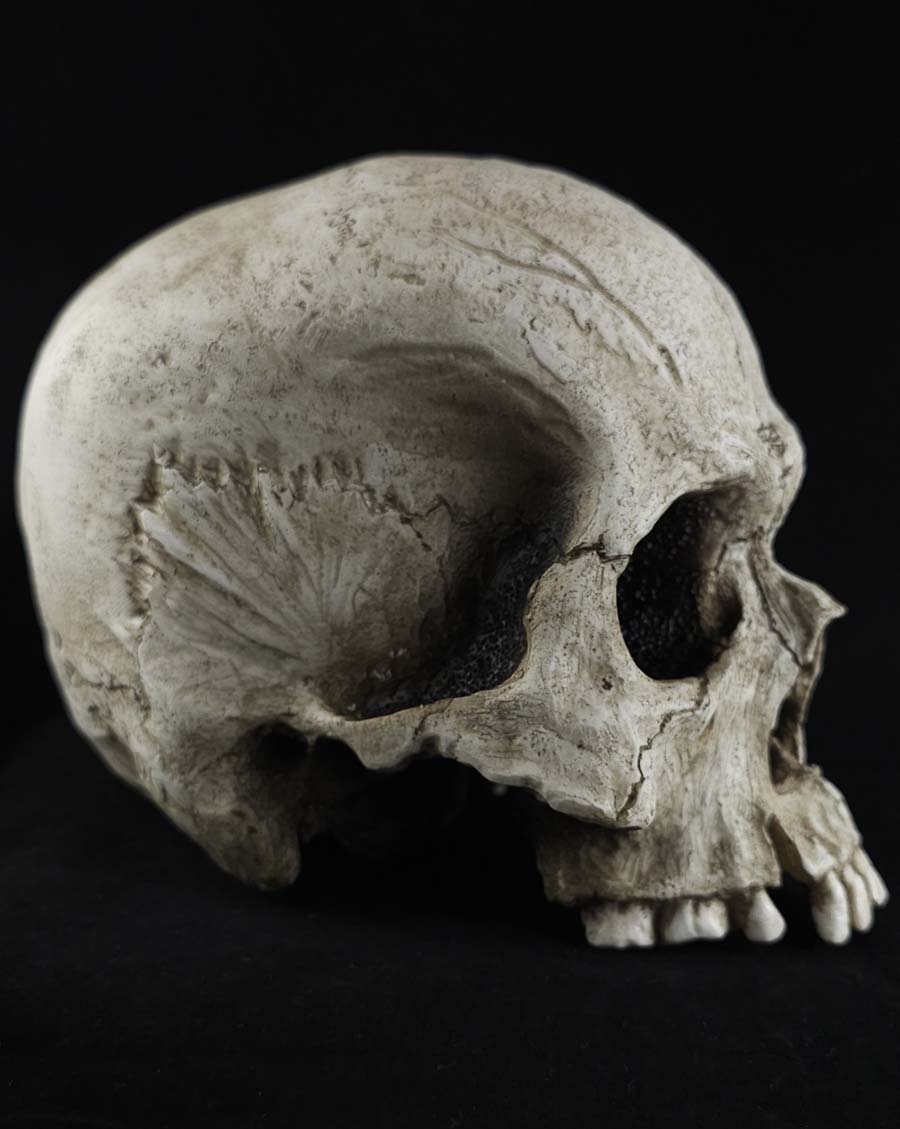 The Skull Prop