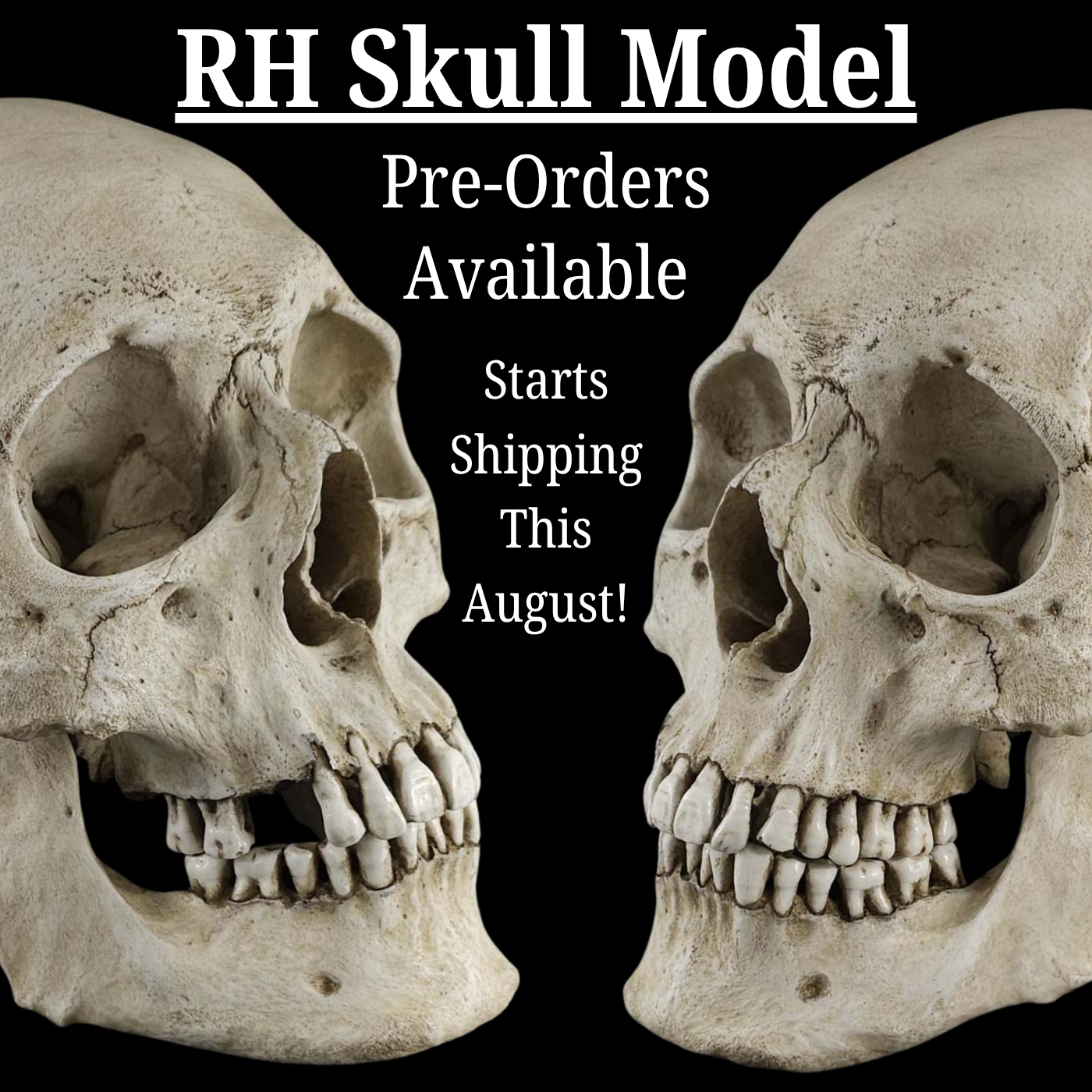 Skull Shoppe