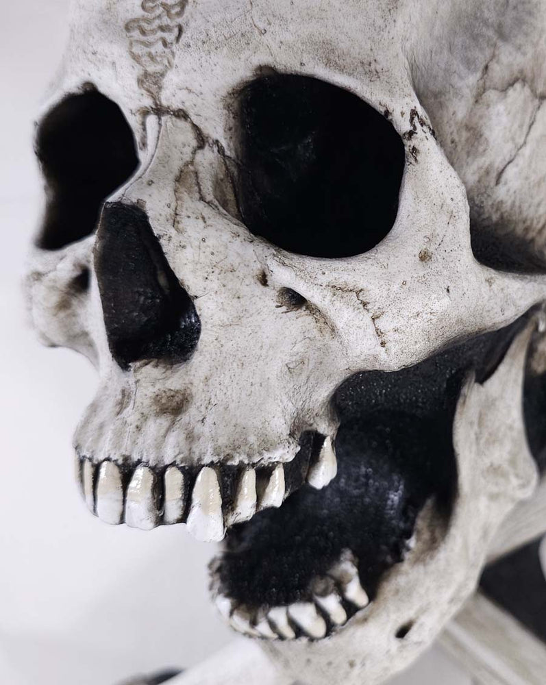 
                  
                    Large One-Piece Skull and Crossbones
                  
                