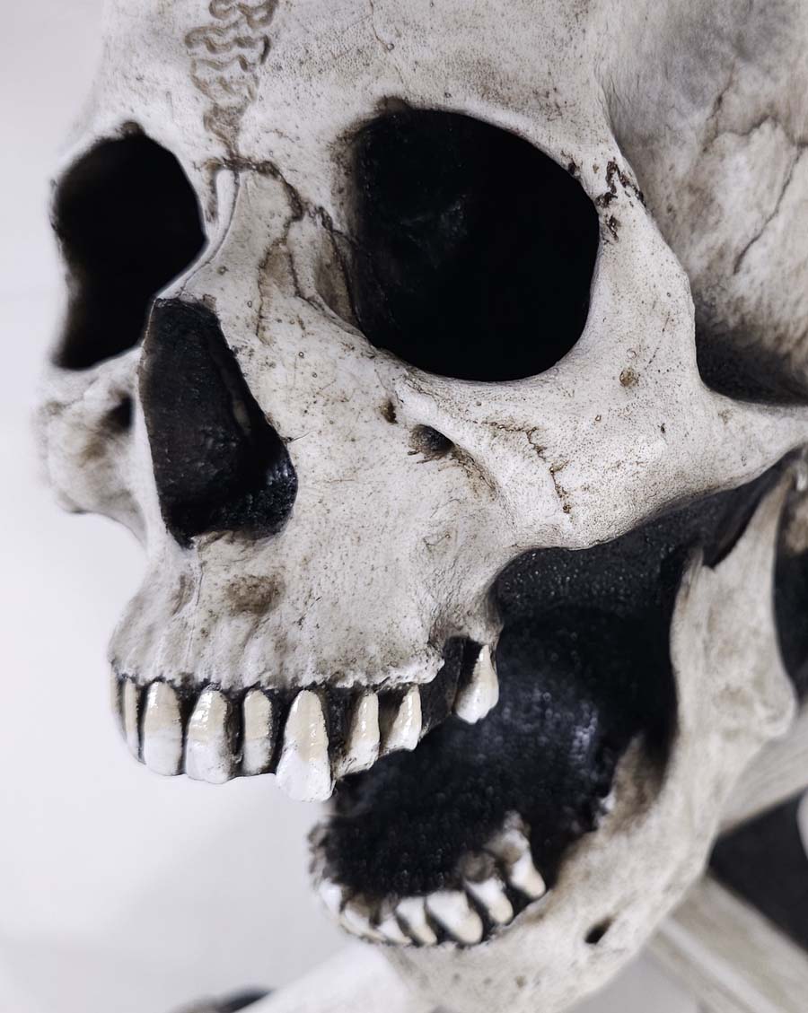 
                  
                    Large One-Piece Skull and Crossbones
                  
                
