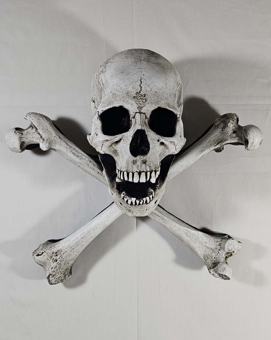 
                  
                    Large One-Piece Skull and Crossbones
                  
                