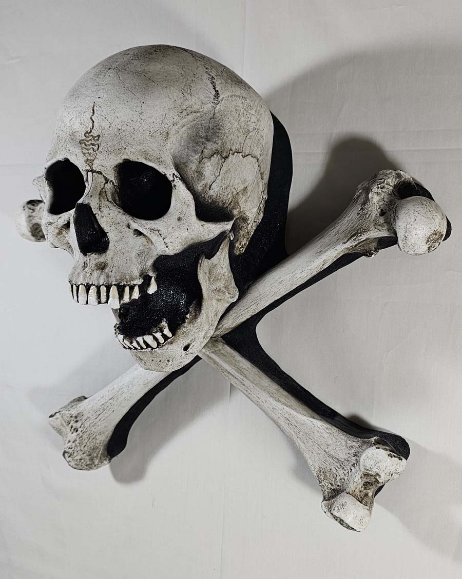 
                  
                    Large One-Piece Skull and Crossbones
                  
                