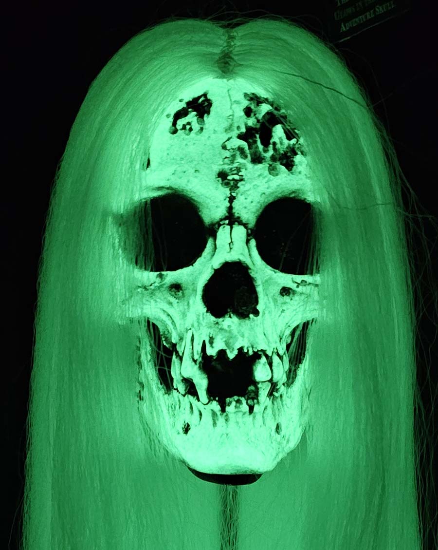 
                  
                    Adventure Skull Glow in the Dark with glowing white hair!
                  
                