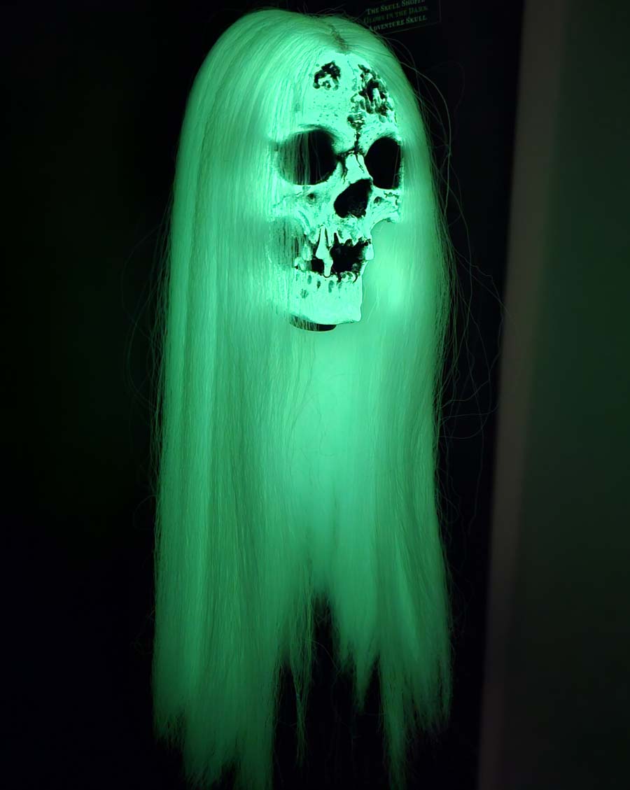 
                  
                    Adventure Skull Glow in the Dark with glowing white hair!
                  
                