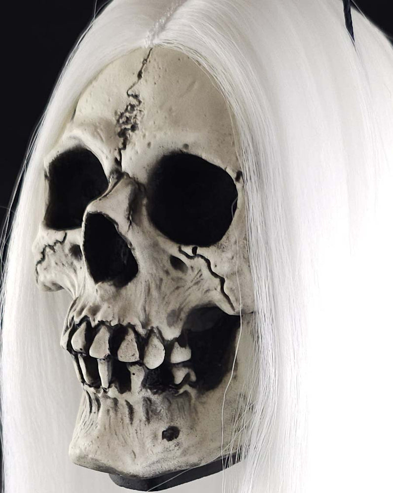 
                  
                    Adventure Skull Glow In the Dark White Hair
                  
                