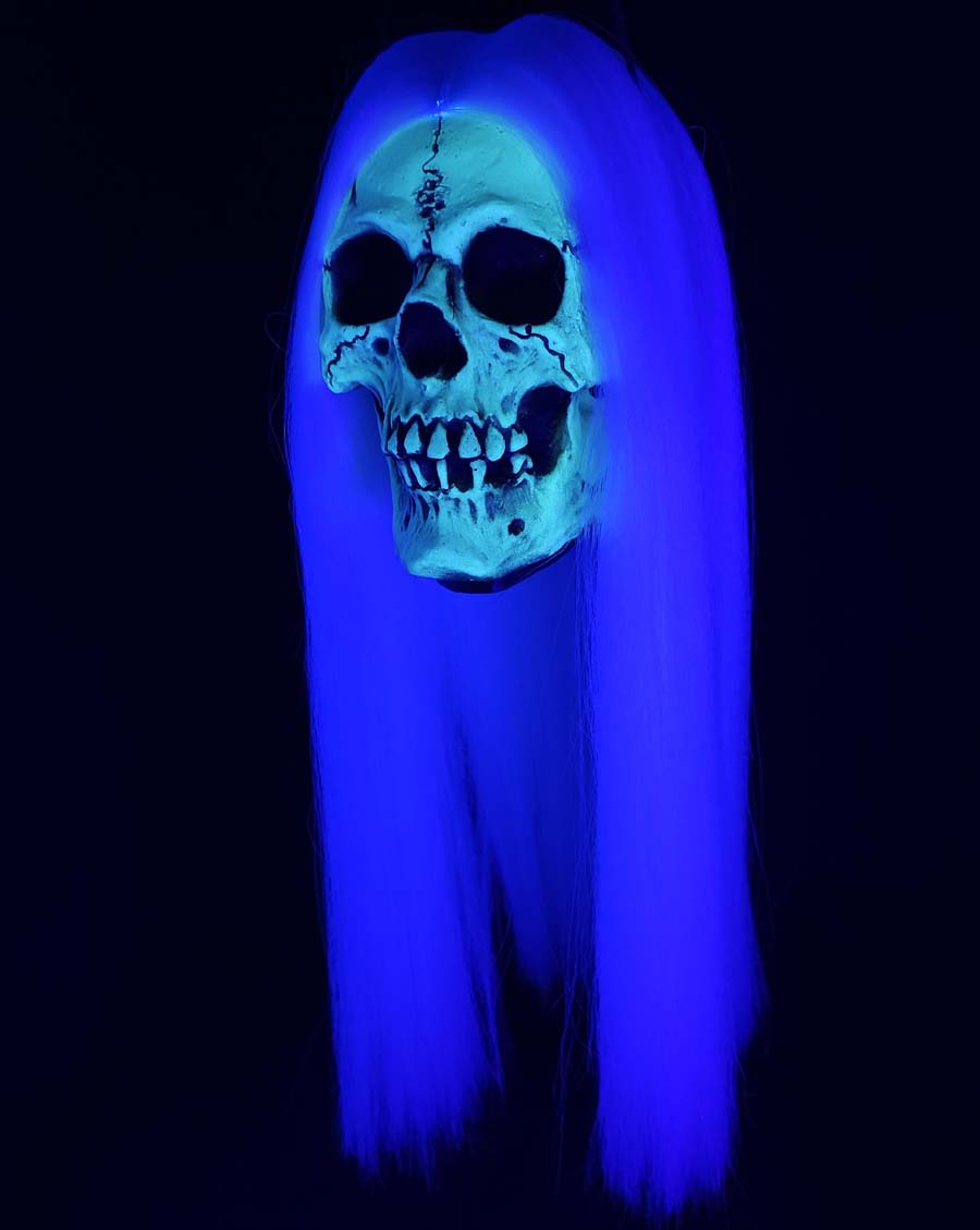 
                  
                    Adventure Skull Glow In the Dark White Hair
                  
                