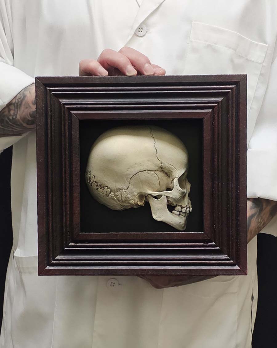 
                  
                    Shadowbox half child skull model
                  
                