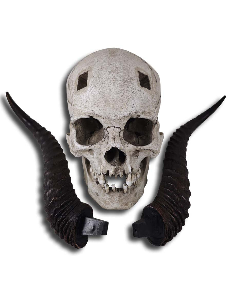 
                  
                    Horned Skull
                  
                