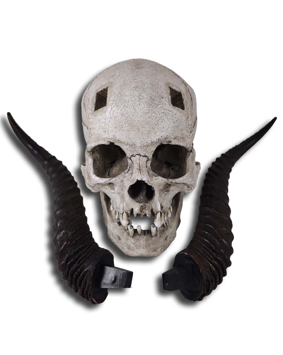
                  
                    Horned Skull
                  
                