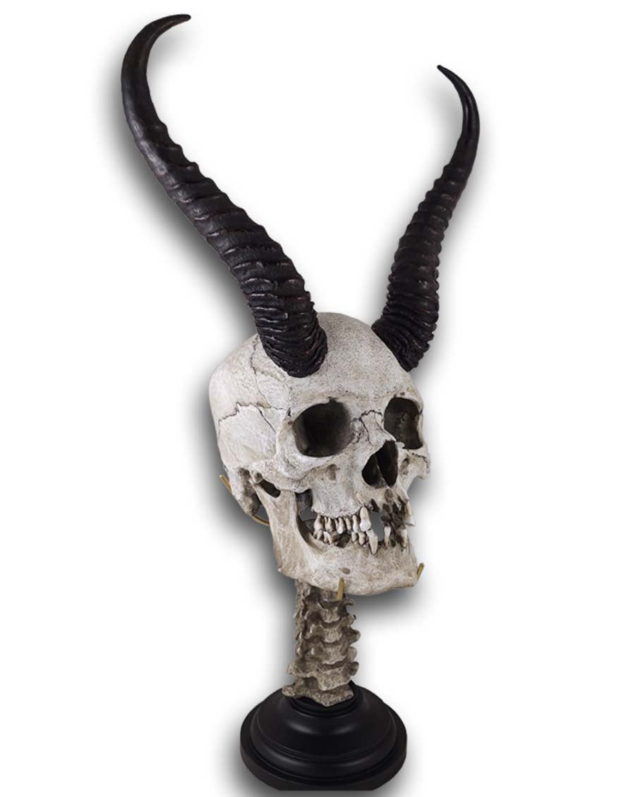 
                  
                    Horned skull with Spine Stand
                  
                