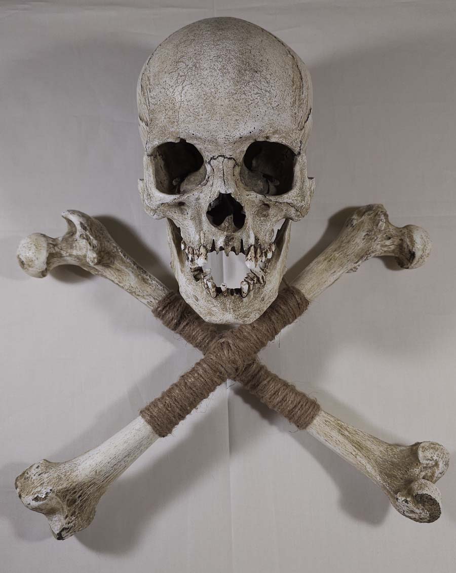 Museum Skull and Crossbones