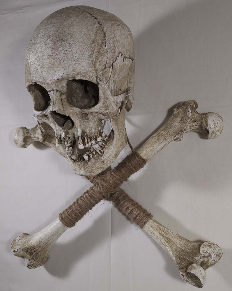 
                  
                    Museum Skull and Crossbones
                  
                