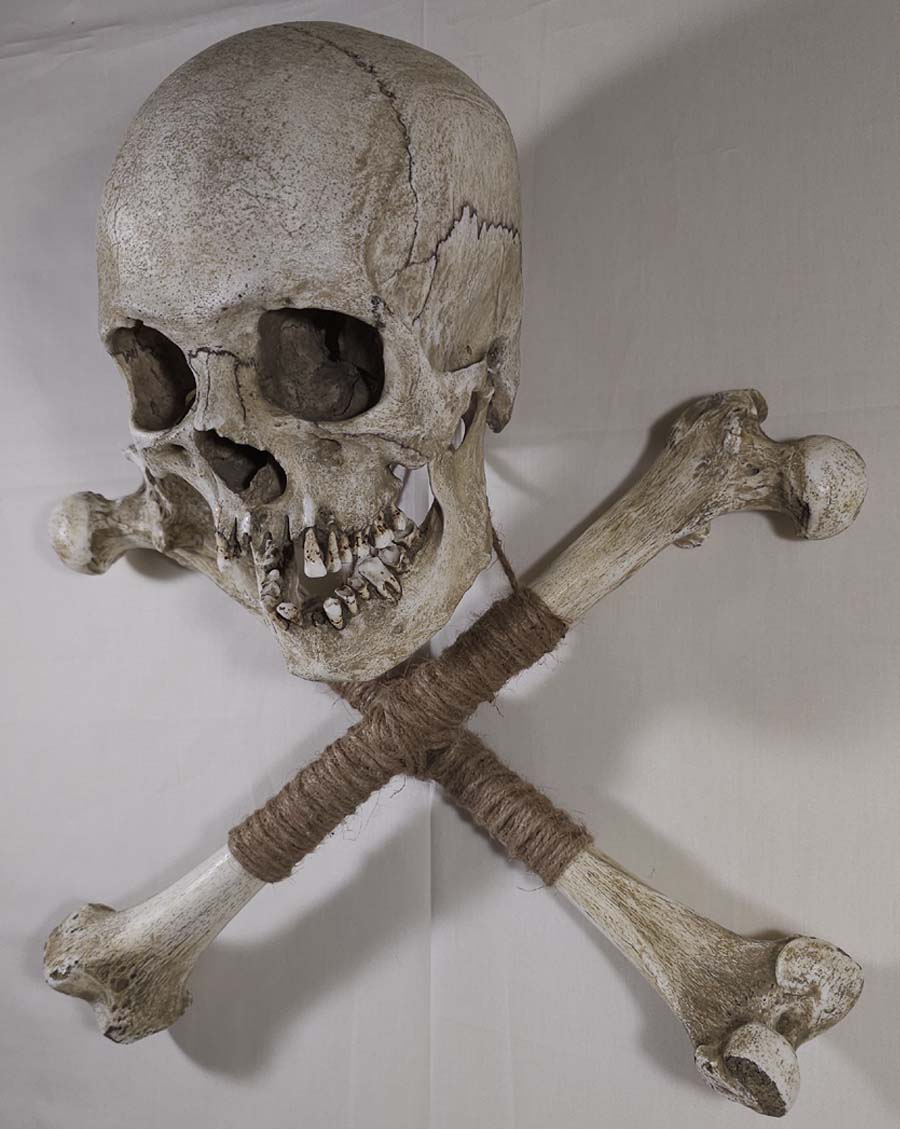 
                  
                    Museum Skull and Crossbones
                  
                