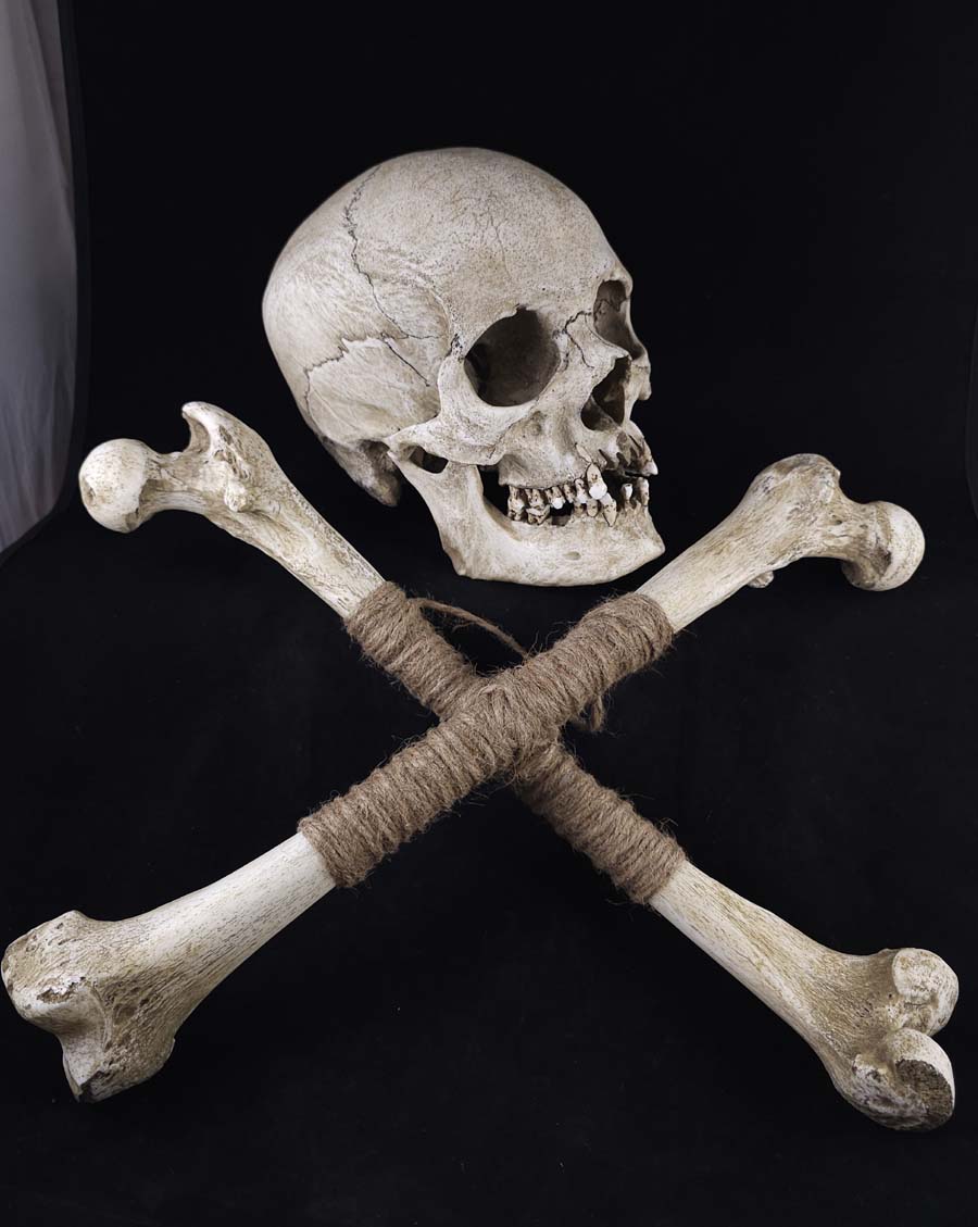 
                  
                    Museum Skull and Crossbones
                  
                