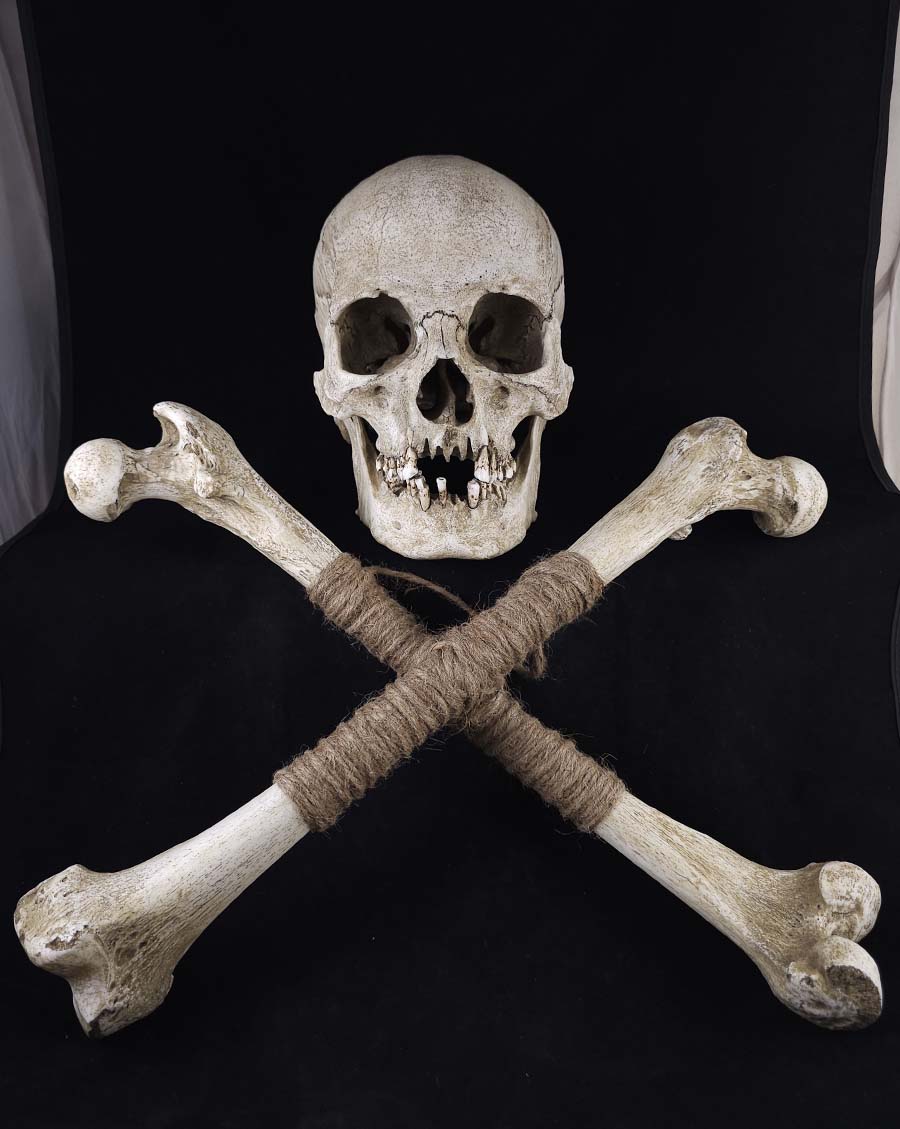 Museum Skull and Crossbones – Skull Shoppe, image size:900x1129