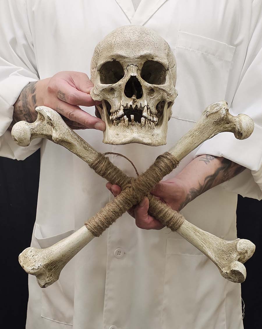Museum Skull and Crossbones – Skull Shoppe