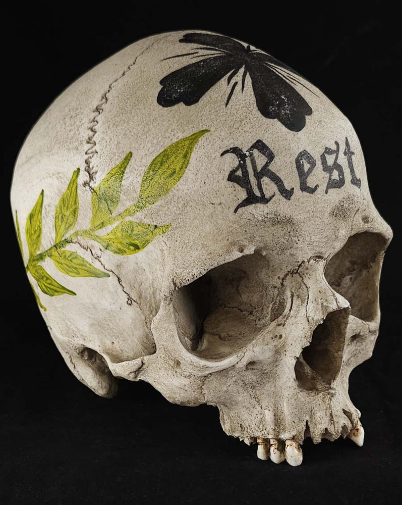 
                  
                    Ossuary Skull Model RL
                  
                