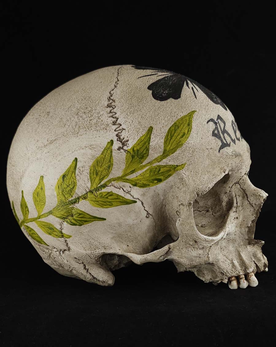 
                  
                    Ossuary Skull Model RL
                  
                