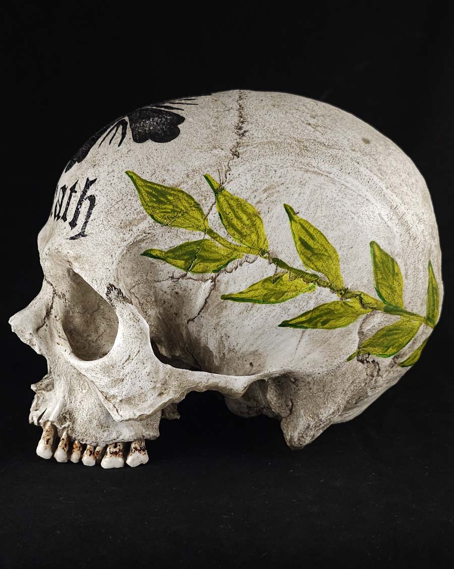 
                  
                    Ossuary Skull model SB
                  
                