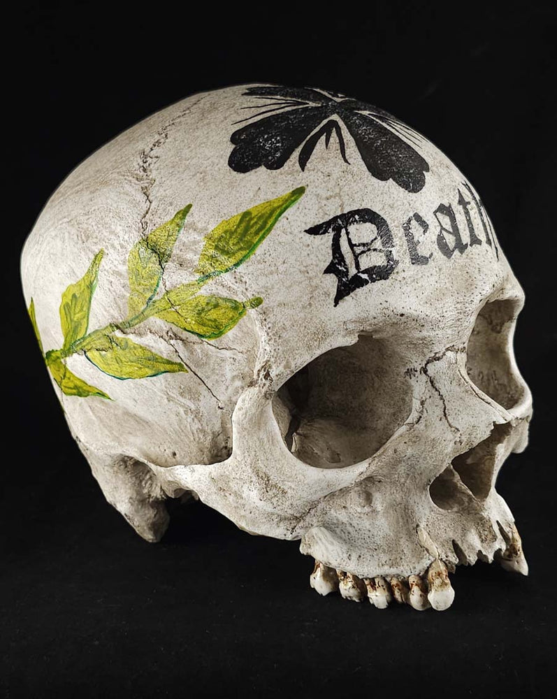 
                  
                    Ossuary Skull model SB
                  
                