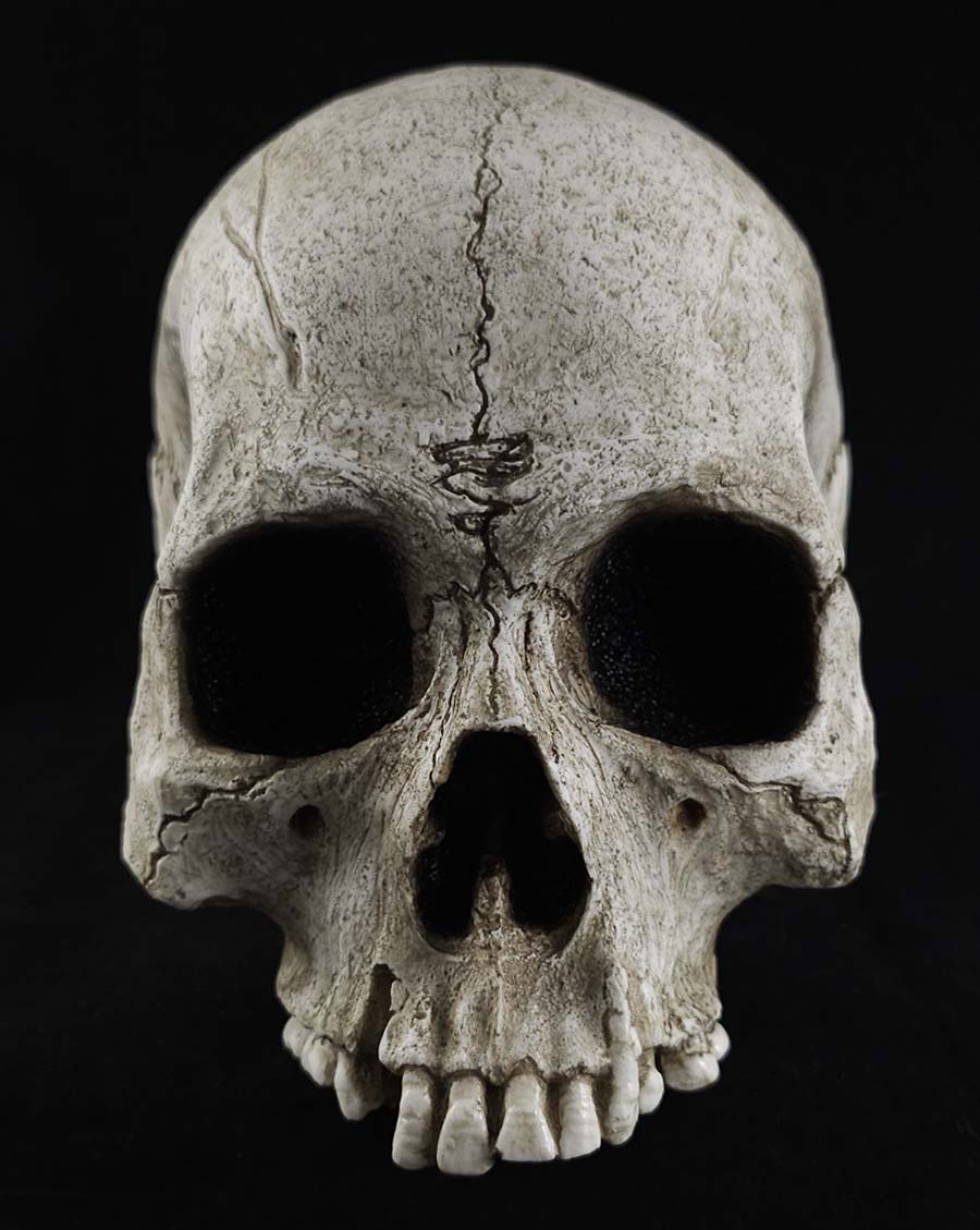 The Skull Prop