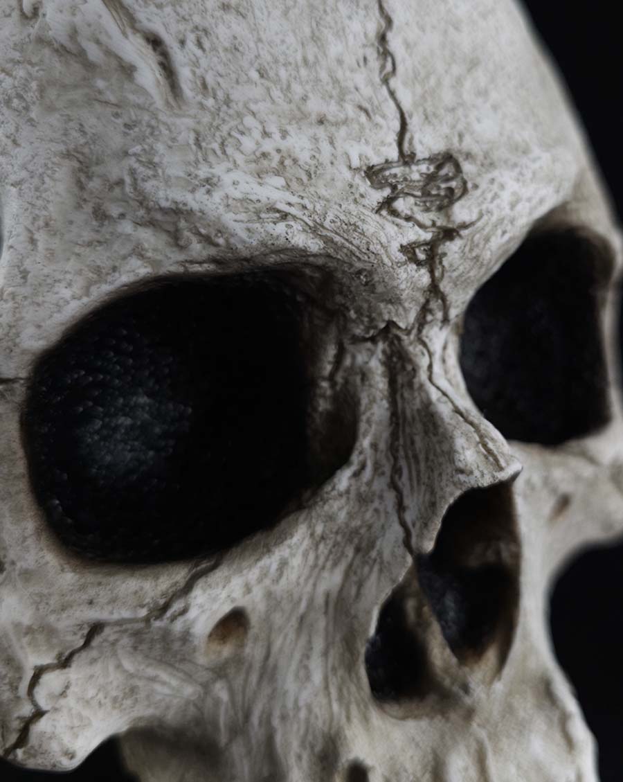 
                  
                    The Skull Prop
                  
                