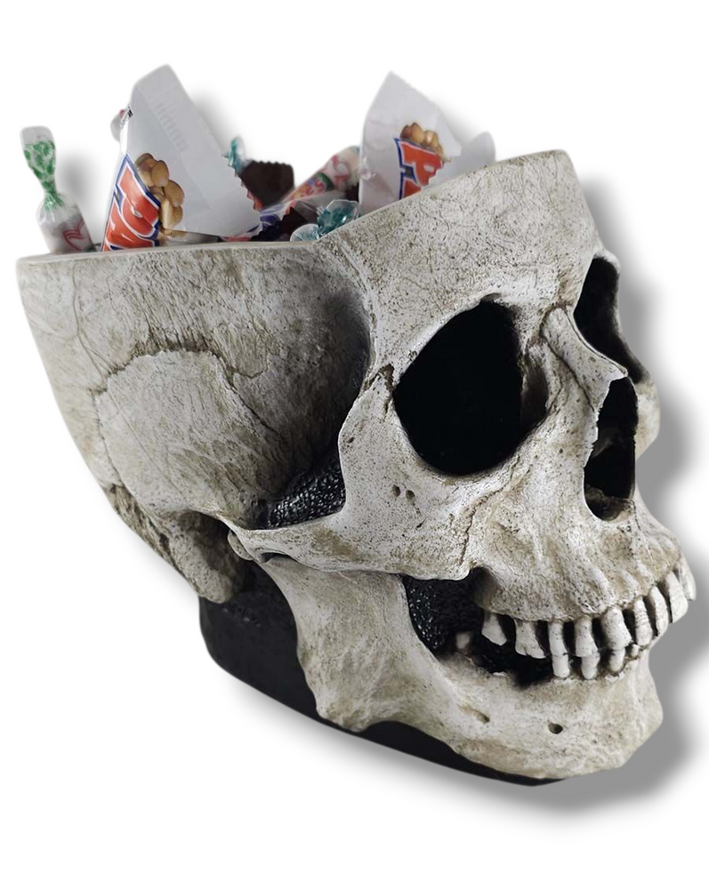 
                  
                    The Skull Bowl
                  
                