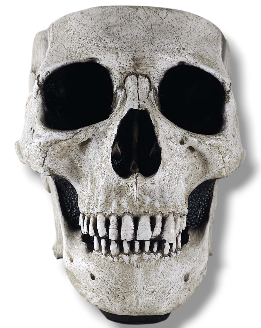 The Skull Bowl – Skull Shoppe