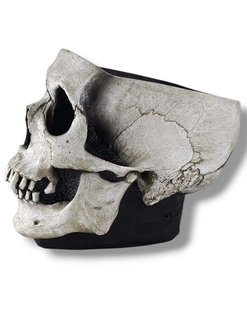 
                  
                    The Skull Bowl
                  
                