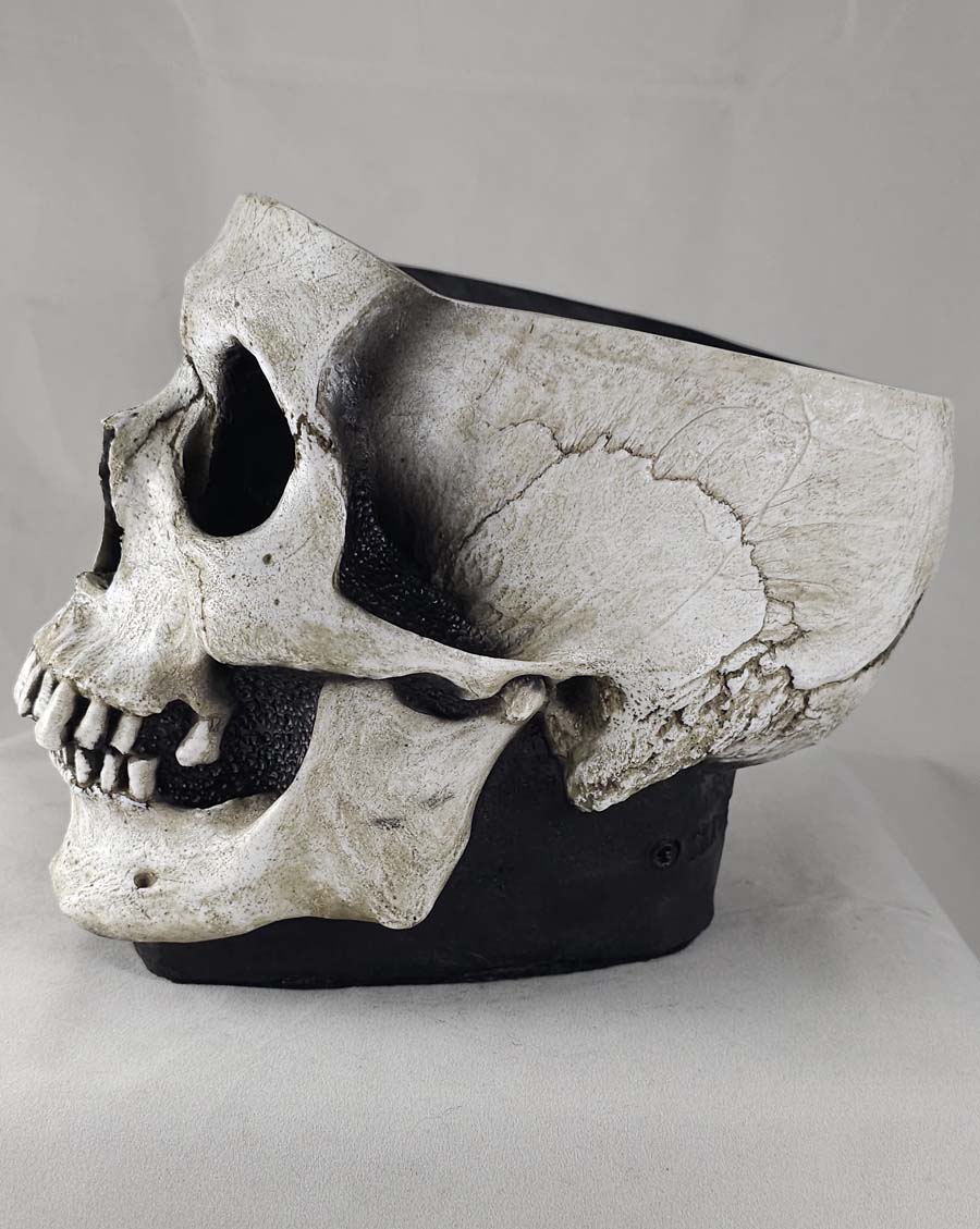 
                  
                    The Skull Bowl
                  
                