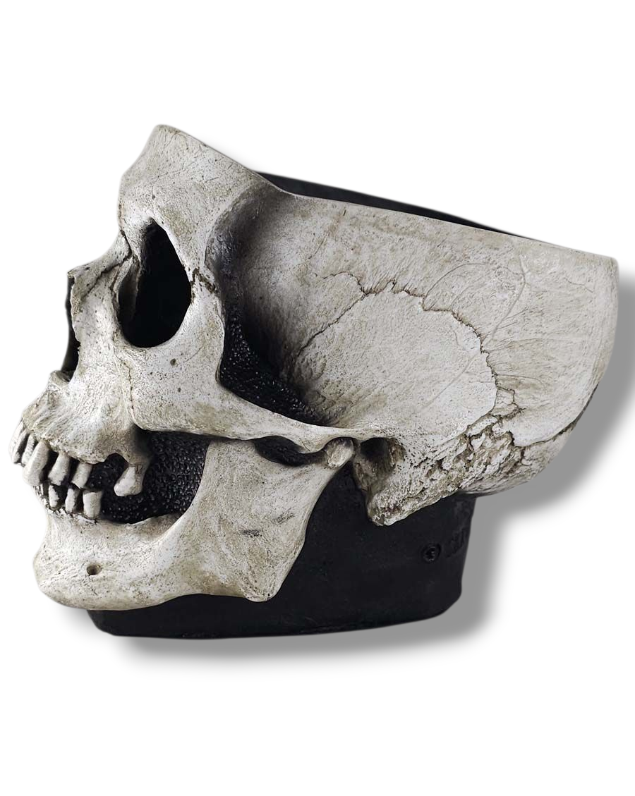 
                  
                    The Skull Bowl
                  
                