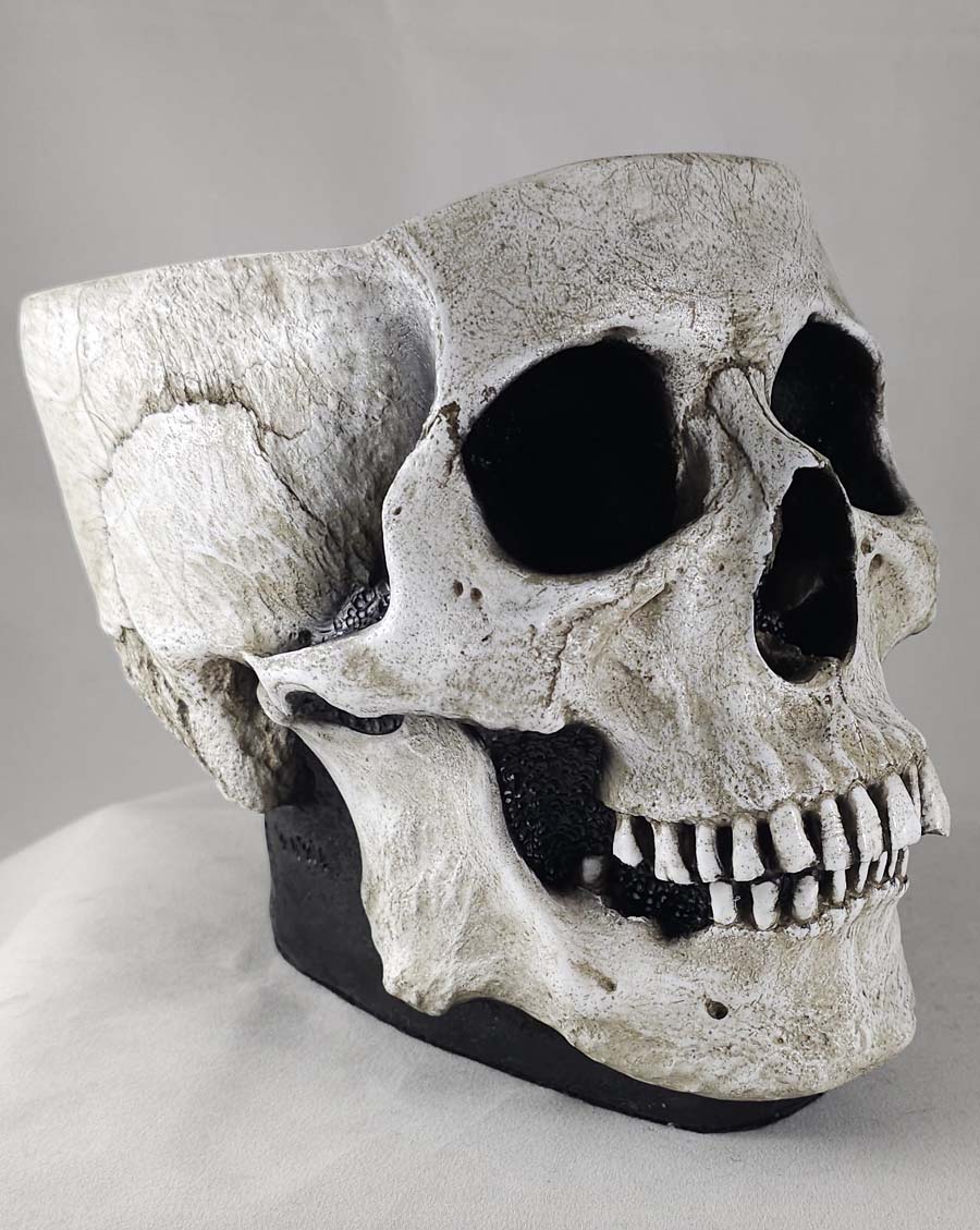 
                  
                    The Skull Bowl
                  
                