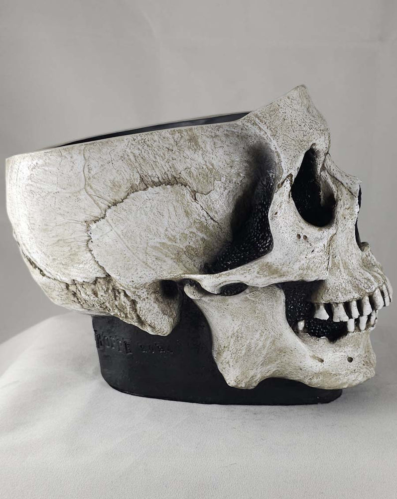 
                  
                    The Skull Bowl
                  
                