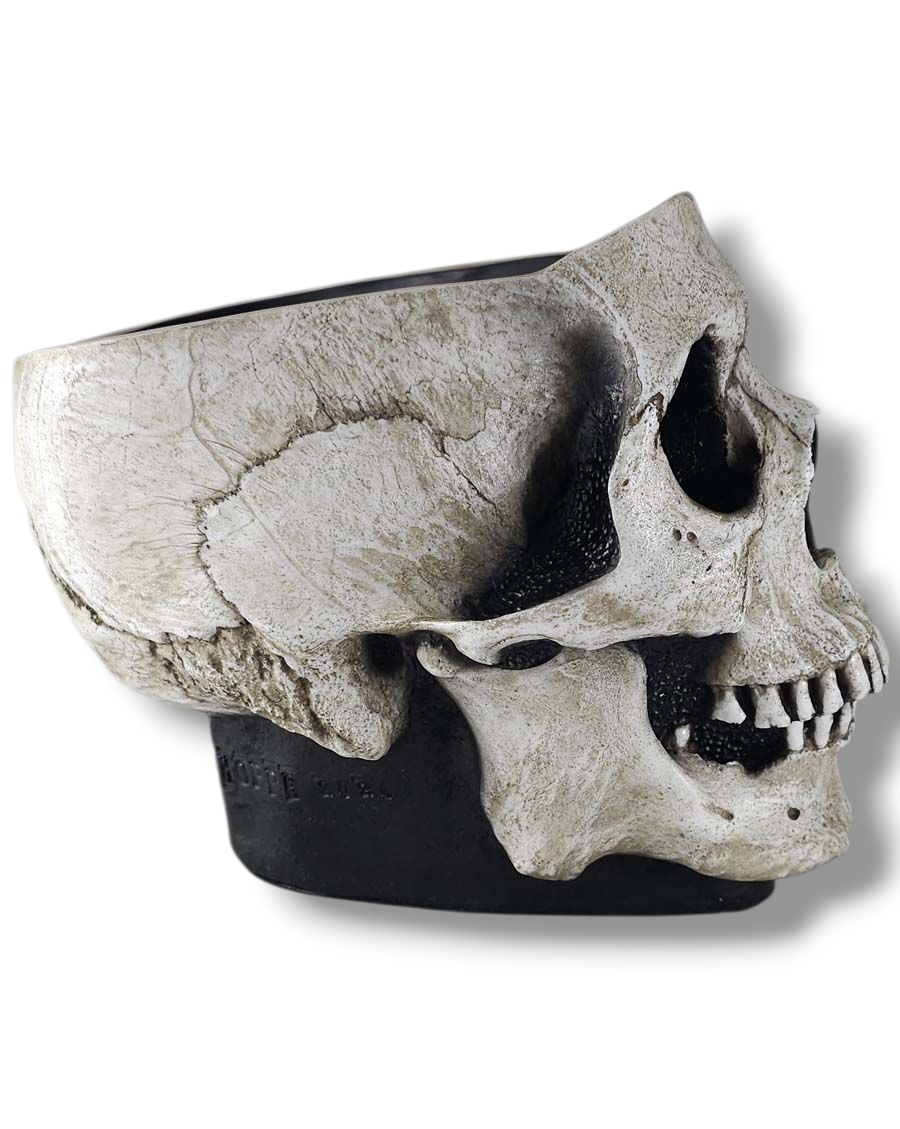 
                  
                    The Skull Bowl
                  
                
