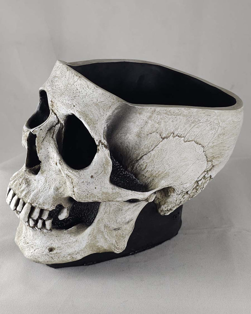 
                  
                    The Skull Bowl
                  
                