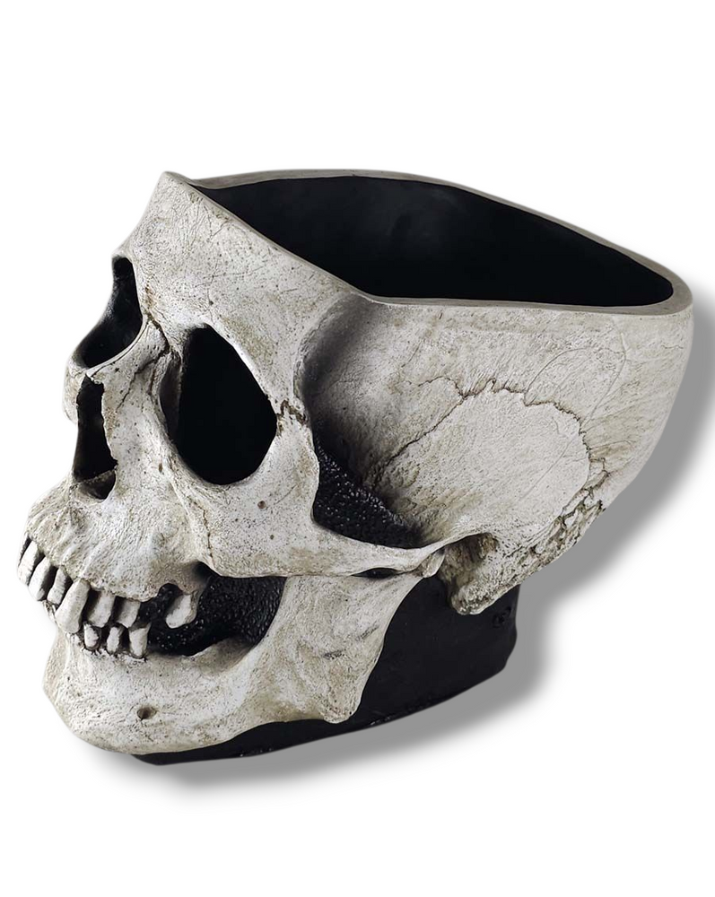 
                  
                    The Skull Bowl
                  
                