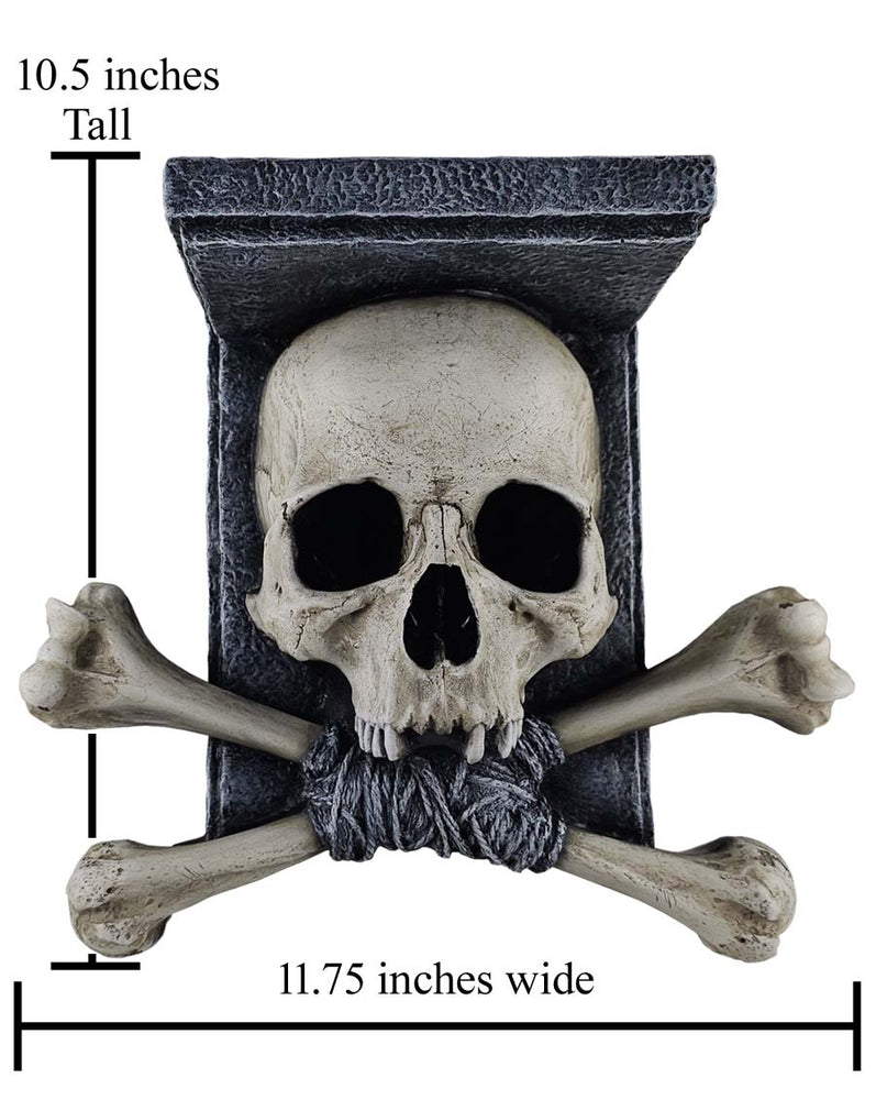 
                  
                    Skull Shelf Pre-Order end October 2023
                  
                