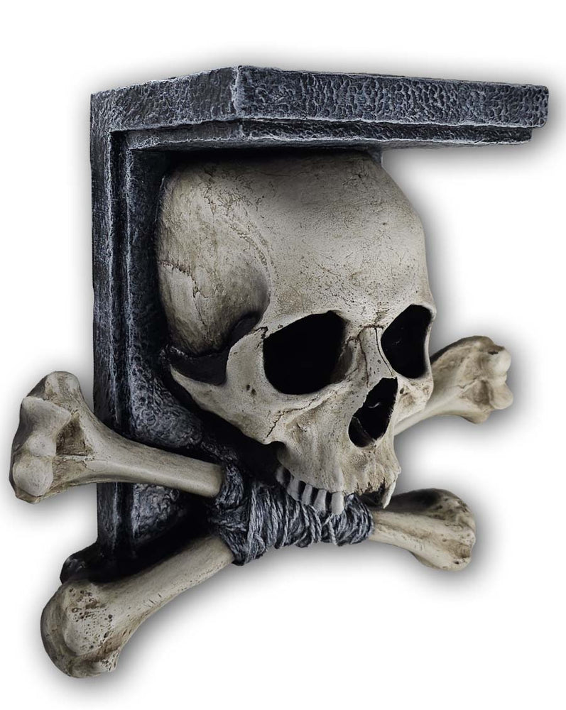 
                  
                    Skull Shelf Pre-Order end October 2023
                  
                