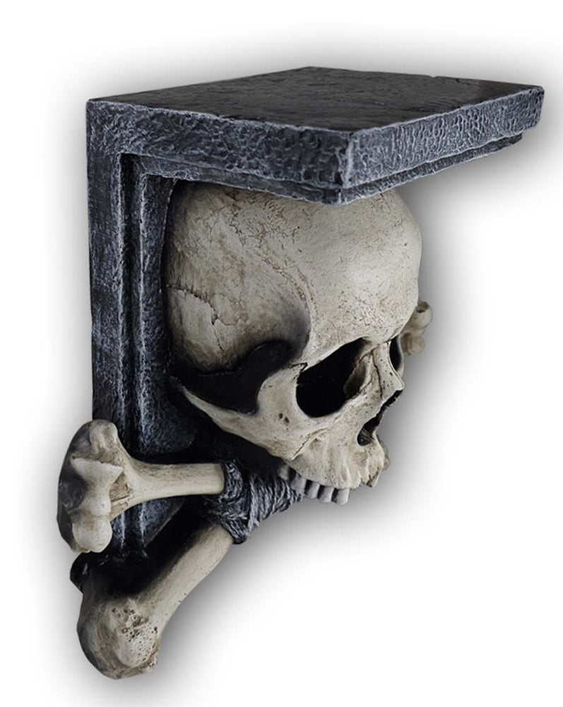 
                  
                    Skull Shelf
                  
                