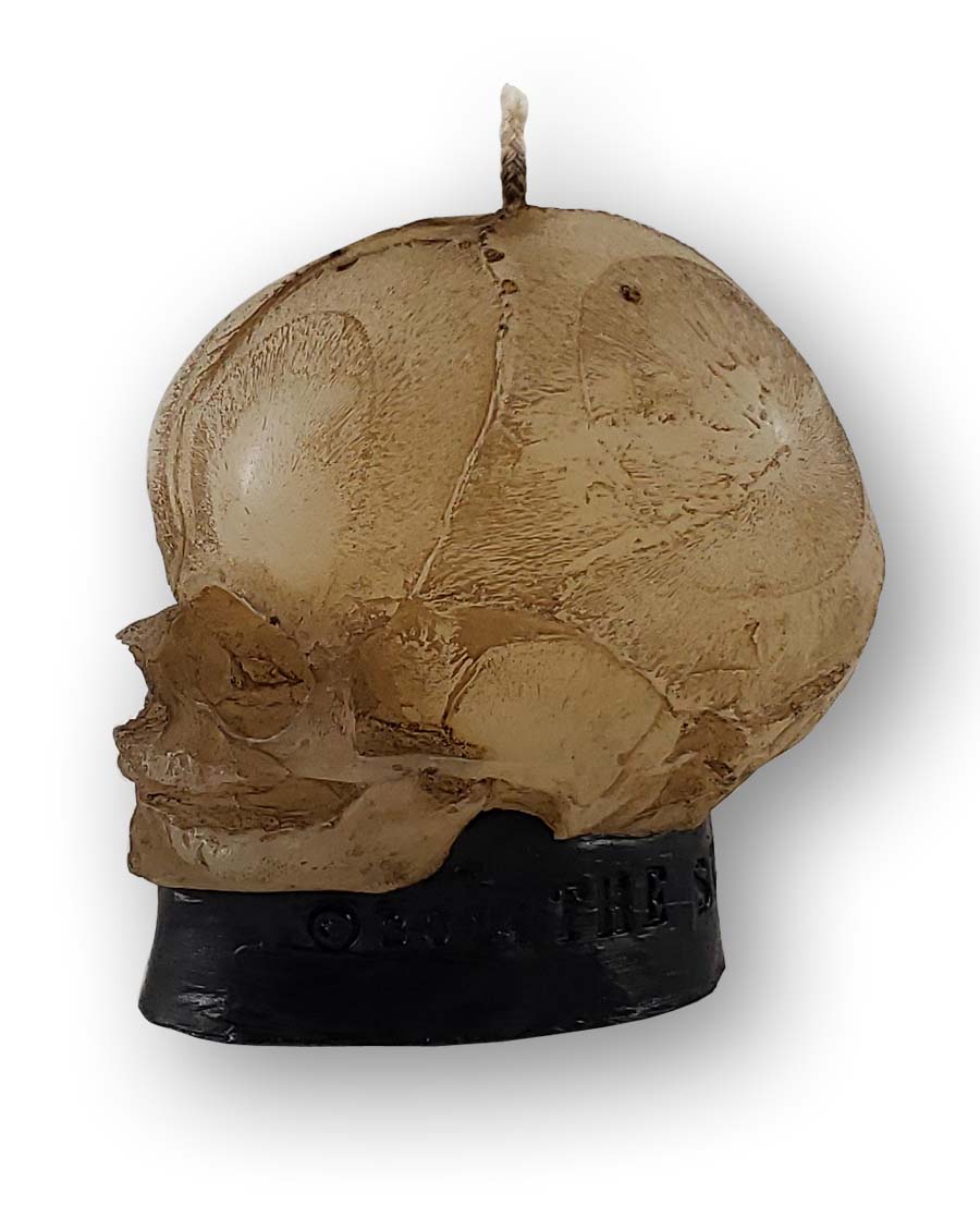 
                  
                    Left side view of fetal skull candle
                  
                