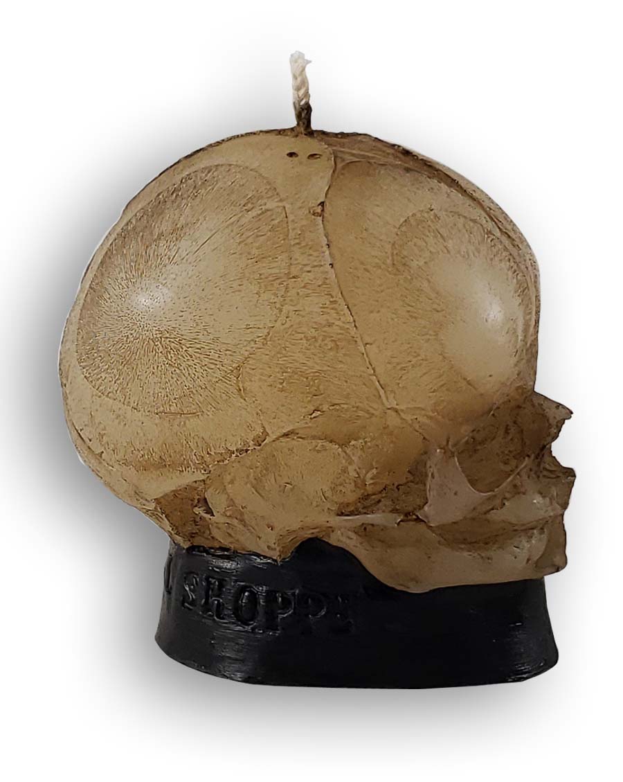 
                  
                    Right side view of fetal skull candle
                  
                