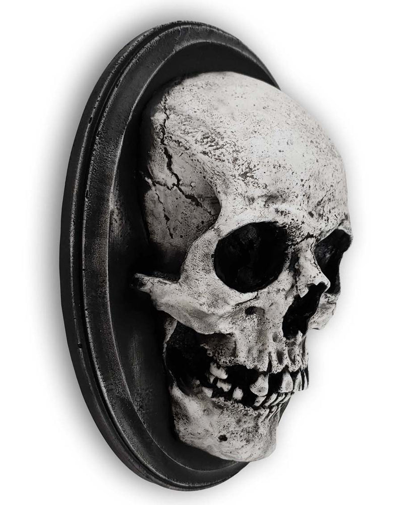 
                  
                    Small skull on oval plaque side view.
                  
                